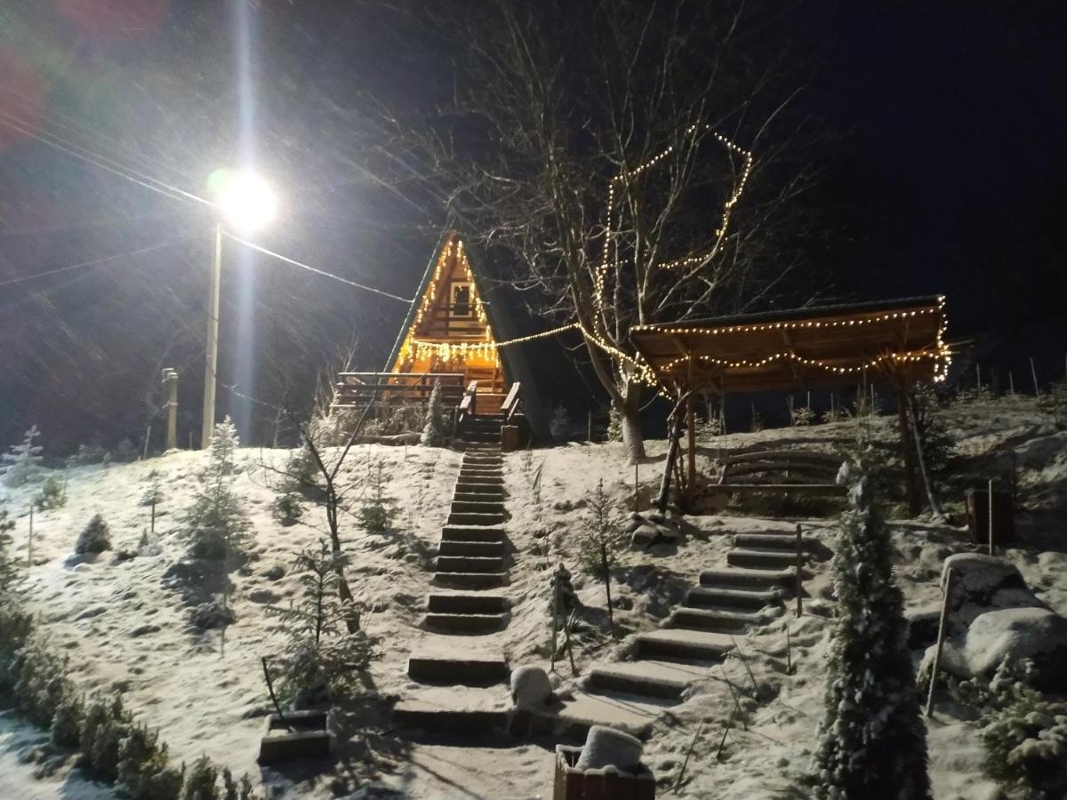 Zelenaya Usad'Ba Stavbor Zavadivka 外观 照片